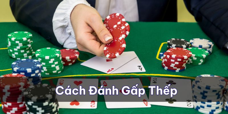 Cách đánh gấp thếp không phải là một bí kíp đánh Baccarat sáng 