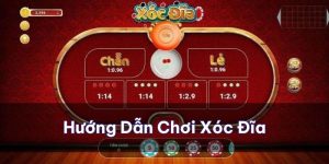 Hướng dẫn cách chơi xóc đĩa