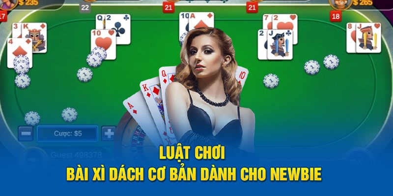 Luật chơi bài xì dách cơ bản dành cho newbie