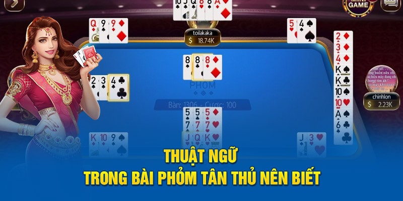 Thuật ngữ trong bài phỏm tân thủ nên biết